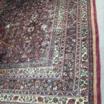 738 3611 ORIENTAL RUG